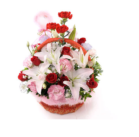 黎明重工 一對(duì)一導(dǎo)師